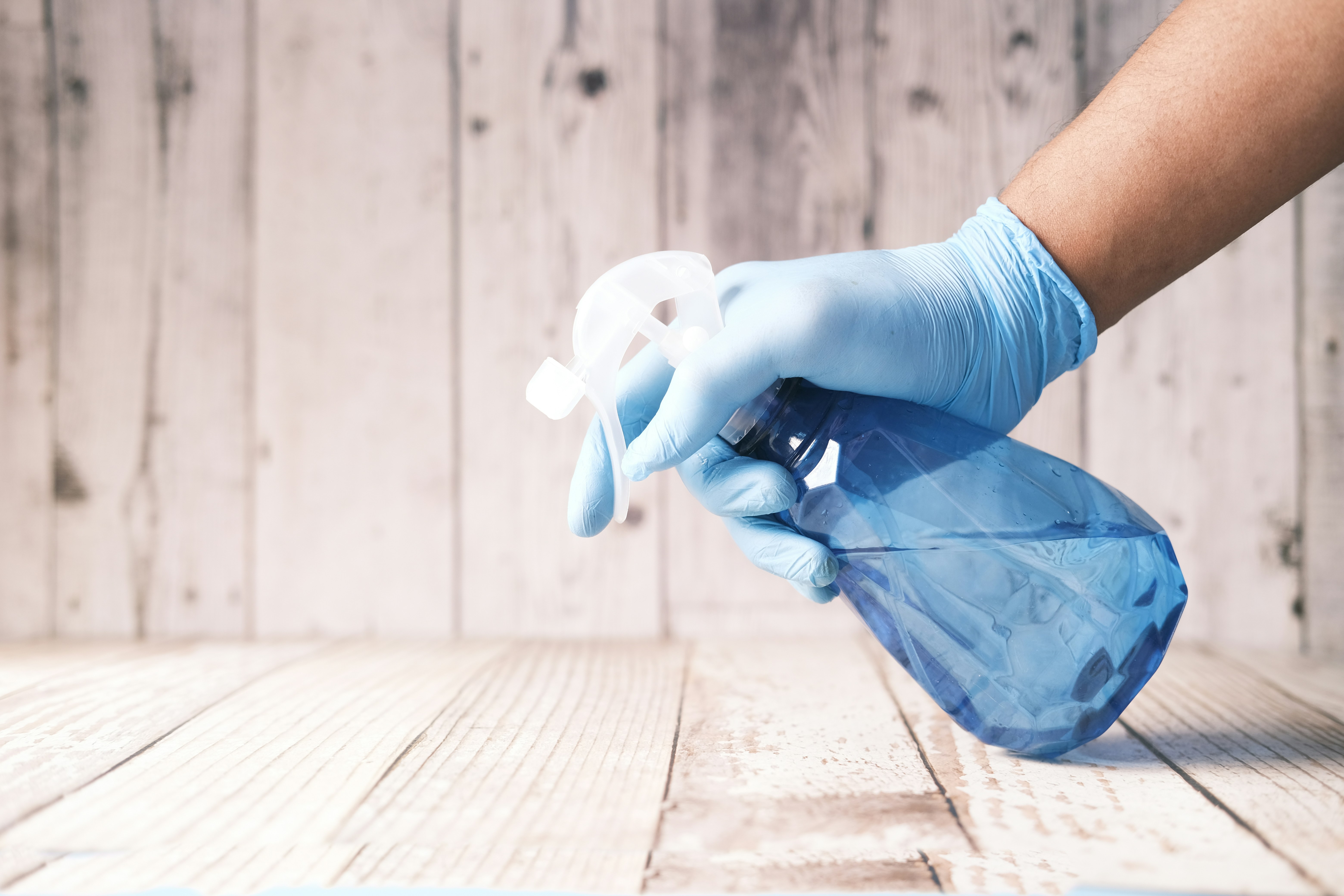 Professional deep cleaning in action